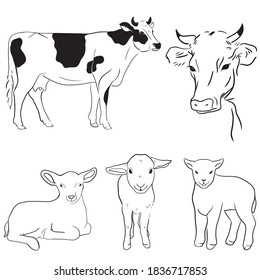 Print Hand drawn cow line vector illustration art.