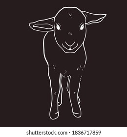 Print Hand drawn lamb line vector illustration art.