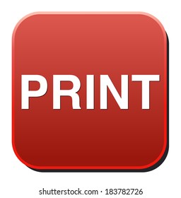print icon