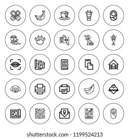 Print icon set. collection of 25 outline print icons with baby, ballet shoes, banana, blueprint, certificate, dog, eye scan, footprint, giraffe, mermaid icons. editable icons.