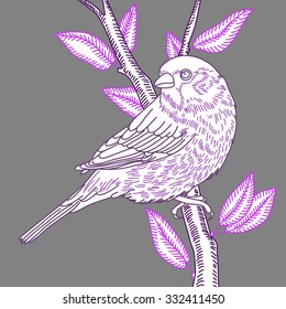 print with the linear vector sparrow bird on a branch