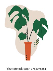
Imprimir, Monstera en una olla alta