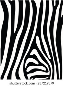 Print pattern skin of zebra, vector illustration
