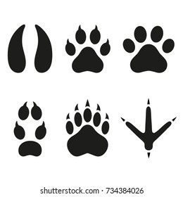 Print of paws of animals.