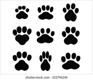 Print of paws of cats, vector
