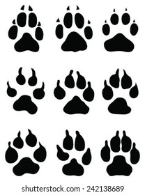Print paws of dogs, vector