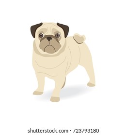 Print with pug, you will never be cooler than me. Print on a T-shirt or cover on the phone, clothes.
