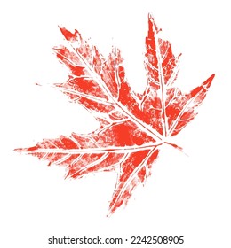 Print of red maple Autumn leaves with painted watercolor by hand