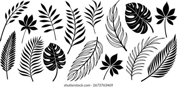 Imprimir vetor de folhas ropicais. Conjunto de silhuetas de folhas de palma isoladas sobre fundo branco