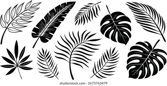 Print ropical leaves vector. Set of palm leaves silhouettes isolated on white background