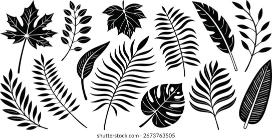Print ropical leaves vector. Set of palm leaves silhouettes isolated on white background