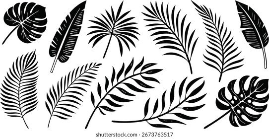 Imprimir Vector de hojas tropicales. Conjunto de siluetas de hojas de palma aisladas sobre fondo blanco