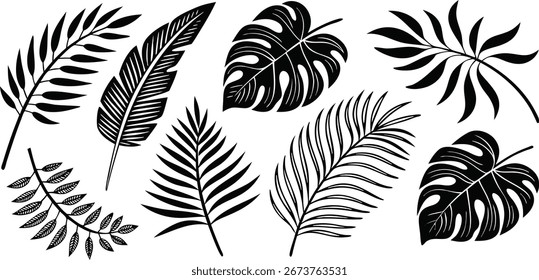 Print ropical leaves vector. Set of palm leaves silhouettes isolated on white background