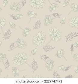 Print with a silhouette of daisies on a light background. Vector of seamless flower daisy pattern.