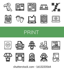 print simple icons set. Contains such icons as Toucan, Poster, Certificate, Feet, Newspaper, Approved delivery, Paper punch, Qr code, Flower design, can be used for web, mobile and logo