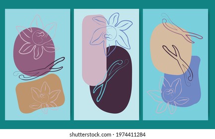 Print. Style line art. Vanilla flowers and sticks on geometric abstract background with light blue background