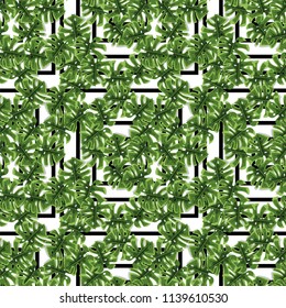 Print summer exotic jungle plant tropical palm leaves. Pattern, seamless floral vector on the black white geometric background. Nature wallpaper.