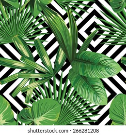 Print summer exotic jungle plant  tropical palm leaves. Pattern, seamless floral vector on the black white geometric background. Nature wallpaper.