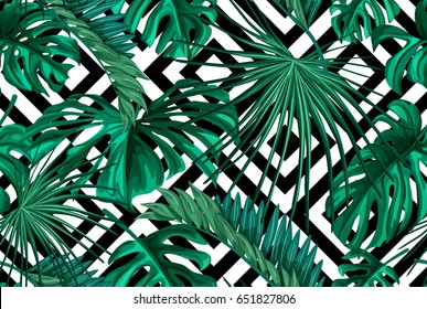 Print summer exotic jungle plant tropical palm leaves. Pattern, seamless floral vector on the black white geometric background. Nature wallpaper.