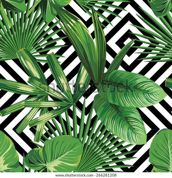 Print summer exotic jungle plant tropical palm leaves. Pattern, seamless floral vector on the black white geometric background. Nature wallpaper.