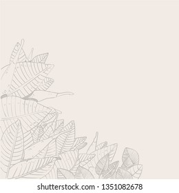 print transparent leaves.