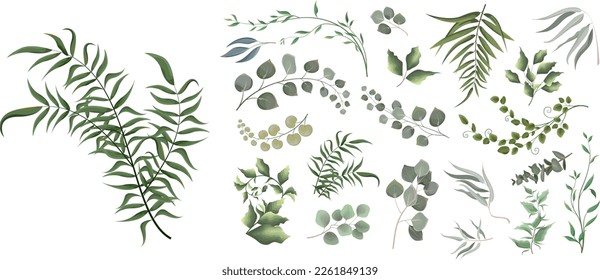 Print. Vector illustrationMix of herbs and plants vector big collection. Juicy eucalyptus, green plants and leaves. All elements are isolated 