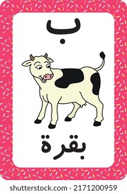 Printable Arabic alphabet letter flashcard. learning the Arabic Language. Cow cartoon.