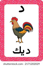 Printable Arabic alphabet letter flashcard. learning the Arabic Language. Rooster cartoon.