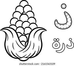 Printable Arabic letter alphabet sketch sheet learning the Arabic letter. Translate: "corn and letter dhal"