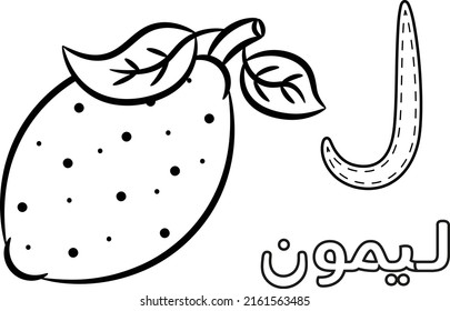 Printable Arabic letter alphabet sketch sheet learning the Arabic letter. Translate: "lemon and letter laam"