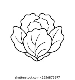 "Printable collard greens vector illustration in cartoon, clipart, and line art styles."
