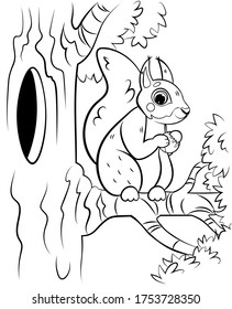 Printable coloring page outline of cute cartoon squirrel on tree with hazelnut. Vector image with forest background. Coloring book of forest wild animals for kids.