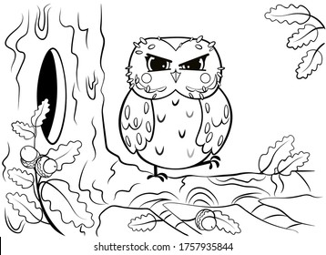 Printable coloring page outline of cute cartoon owl sitting on tree branch near the hollow. Vector image. Coloring book of forest wild animals for kids
