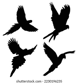 Silueta de loro de macao impreso Vector 