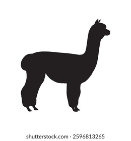 Printable and Scalable Alpaca Silhouette for Various Creative Uses - Alpaca Vector - Alpaca Icon
