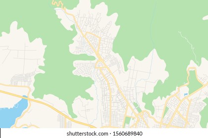 Printable street map of  El Limon, Venezuela. Map template for business use.