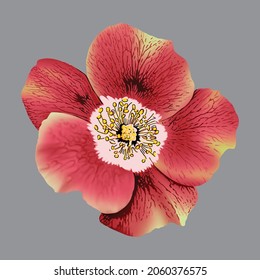 flores de verano imprimibles, diseño textil y digital - Ilustración