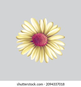 printable summer flowers, textile and digital design - Illustration