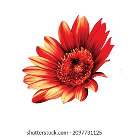 printable summer flowers, textile and digital design - Illustration