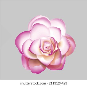 printable summer flowers, textile and digital design - Illustration