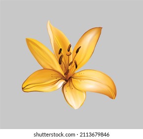 printable summer flowers, textile and digital design - Illustration