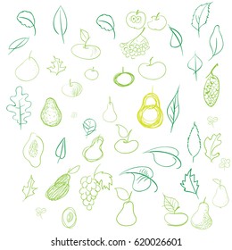 Printable summer wall art fruit pattern and typography. Summer fruits set. Hand drawn style. Vector Design.