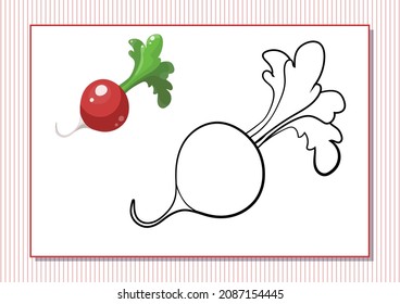 Printable worksheet. Coloring book. Cute cartoon radish. Vector illustration. Horizontal A4 page Color red.