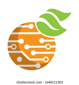 printed circuit board inside orange fruit shape, vector