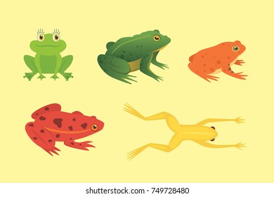 PrintExotic amphibian set. Frogs in different styles Cartoon Vector Illustration isolated. tropical animals