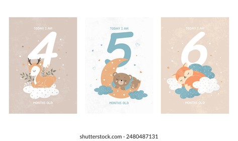 Prints featuring cute sleeping animals, capturing all the special moments by month. Baby number cards for newborns. 4-6 months. Vector