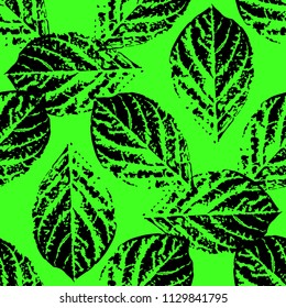 Prints of leaves of trees. Seamless pattern. Black elements, green background