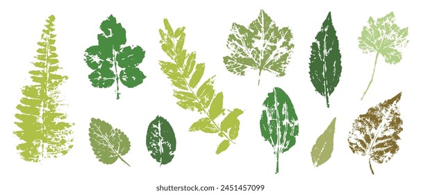 Prints, stamps of various leaves. Decorative botanical elements. Vector graphics.