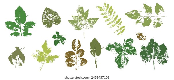 Estampados, sellos de varias hojas. Elementos botánicos decorativos. Vector gráfico.