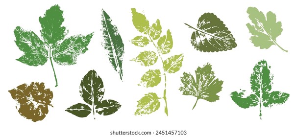 Prints, stamps of various leaves. Decorative botanical elements. Vector graphics.